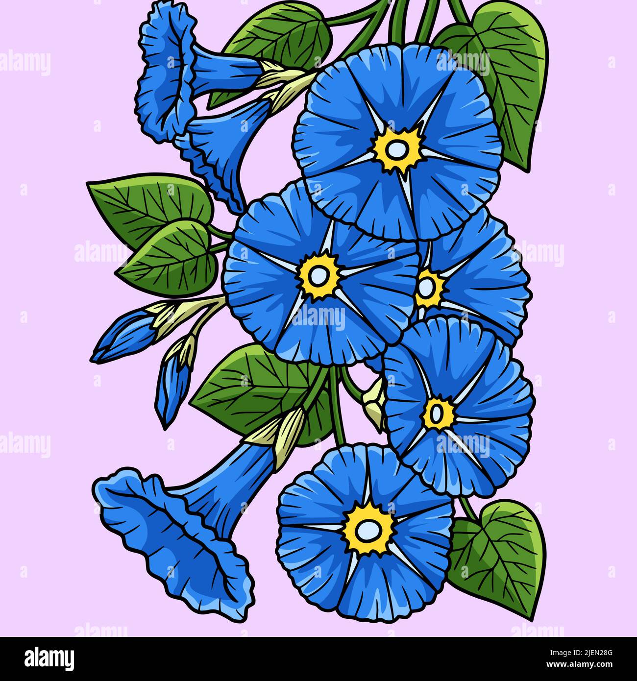 Morning Glory Flower Colored Cartoon Illustration Stock Vector