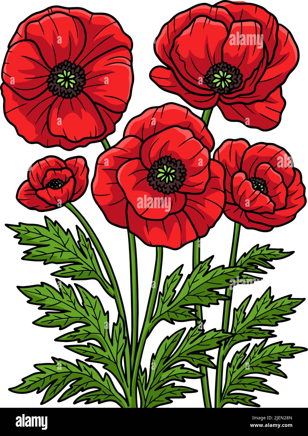 Cartoon poppy flower Stock Vector Images - Alamy