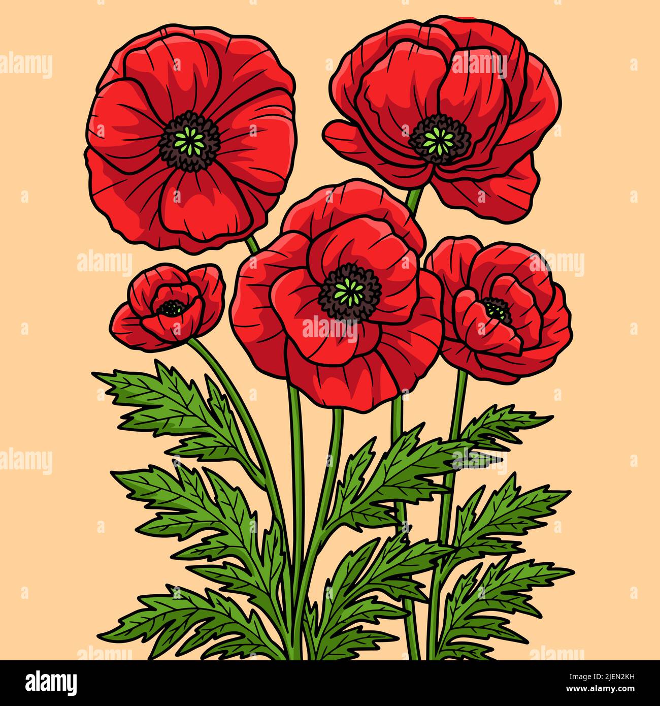 Corn Poppy Flower Colored Cartoon Illustration Stock Vector