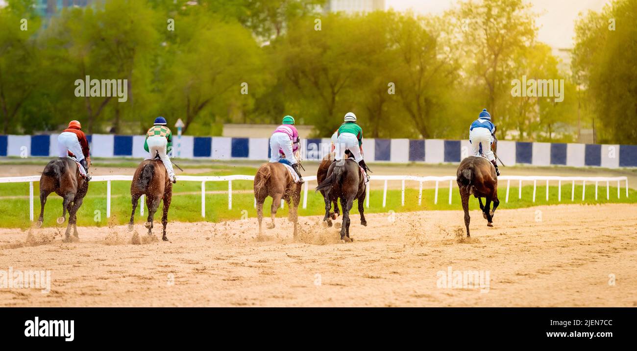 Galloping race horses in racing competition. Jockeys on racing horses. Sport. Champion. Hippodrome. Equestrian. Derby. Speed Stock Photo