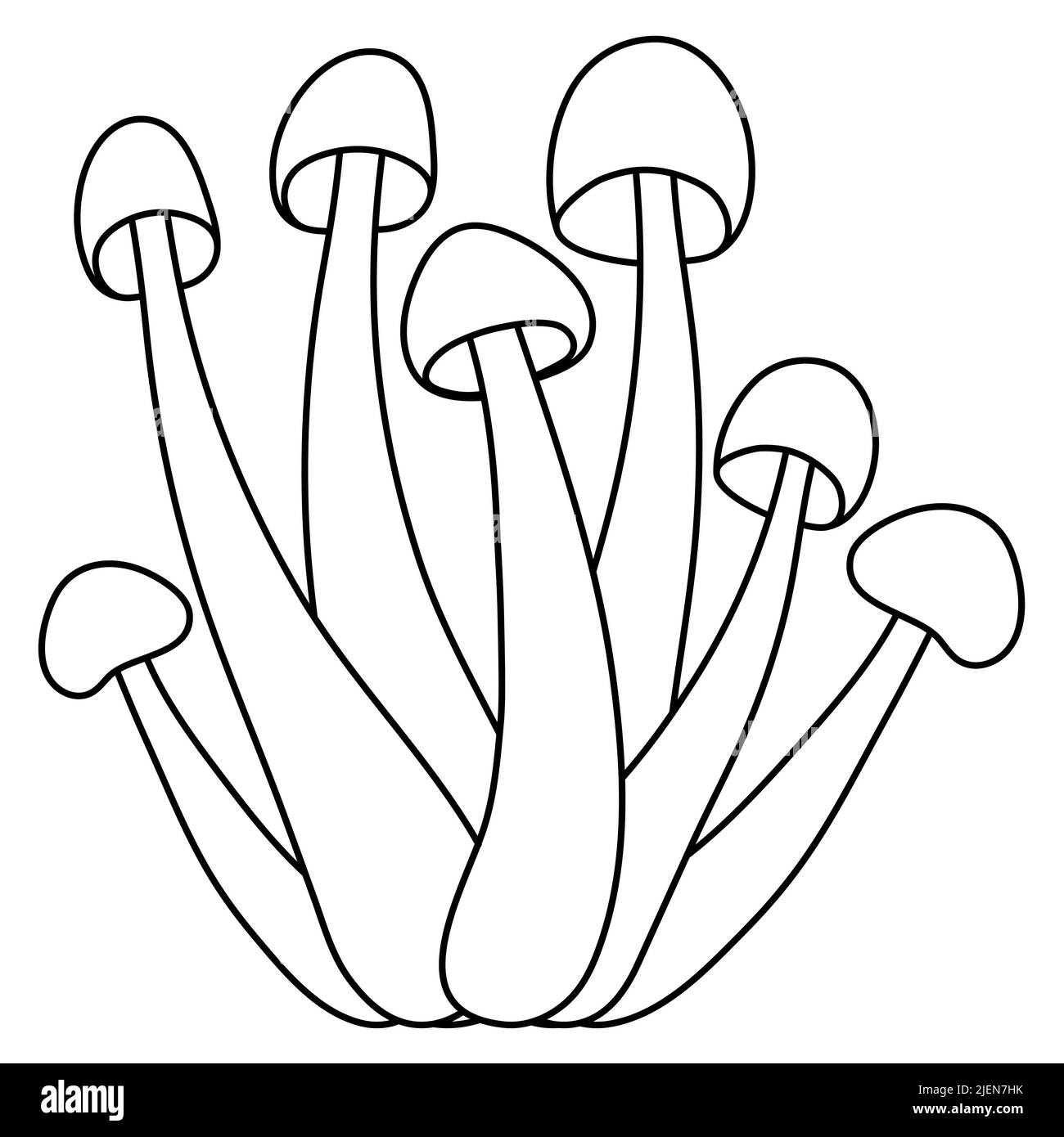 Set of mushrooms vector simple illustration isolated on white background. Outline hand drawn version. Vector mycology. Natural healthy fungus, autumn Stock Vector