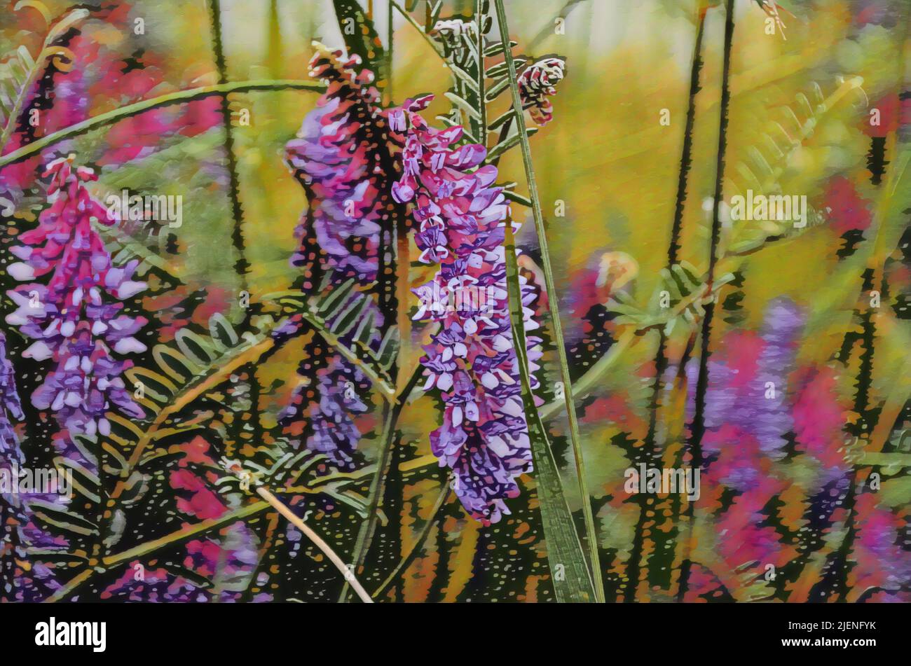 Painted images of purple Arctic lupine flowers, growing along a road in