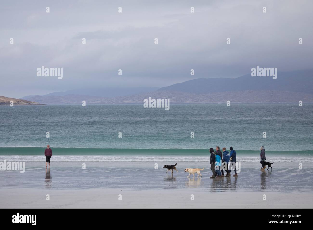 People walking their dogs at Luskentyre beach on the Isle of Harris, Outer Hebrides, Scotland, United Kingdom Stock Photo