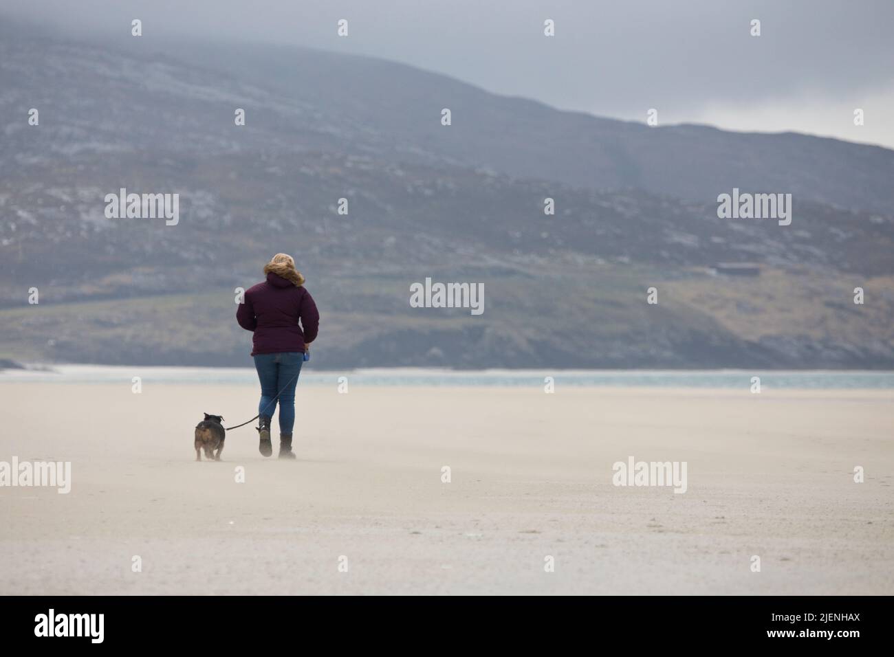 Woman taking her dog for a walk at Luskentyre beach on the Isle of Harris, Outer Hebrides, Scotland, United Kingdom Stock Photo