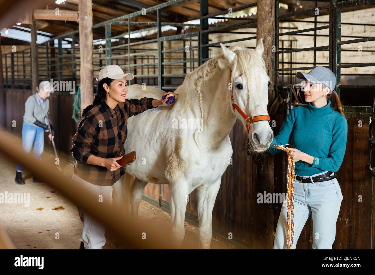 Cleaning horse stall hires stock photography and images Alamy