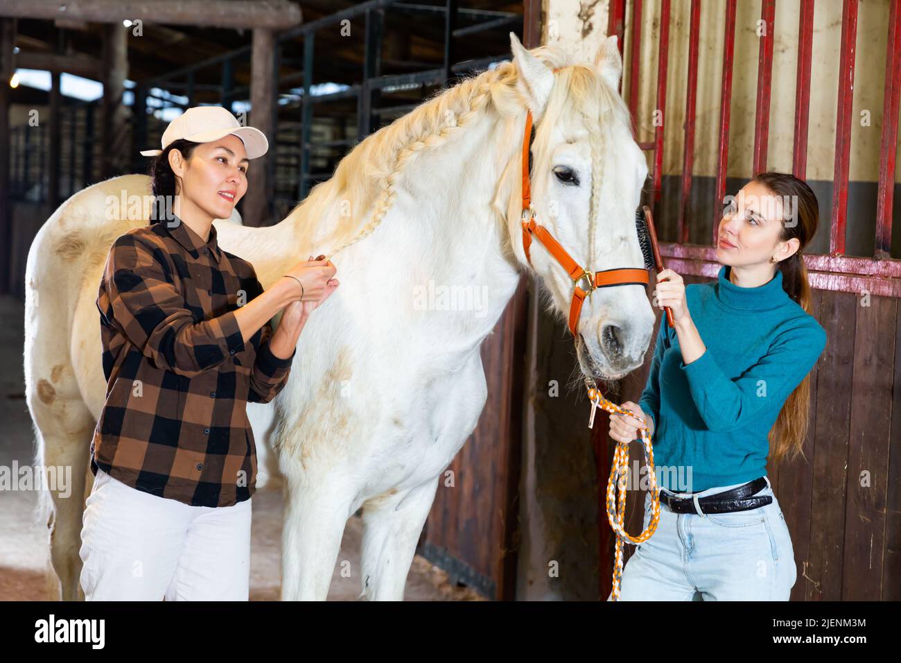 Horse mane braiding hires stock photography and images Alamy