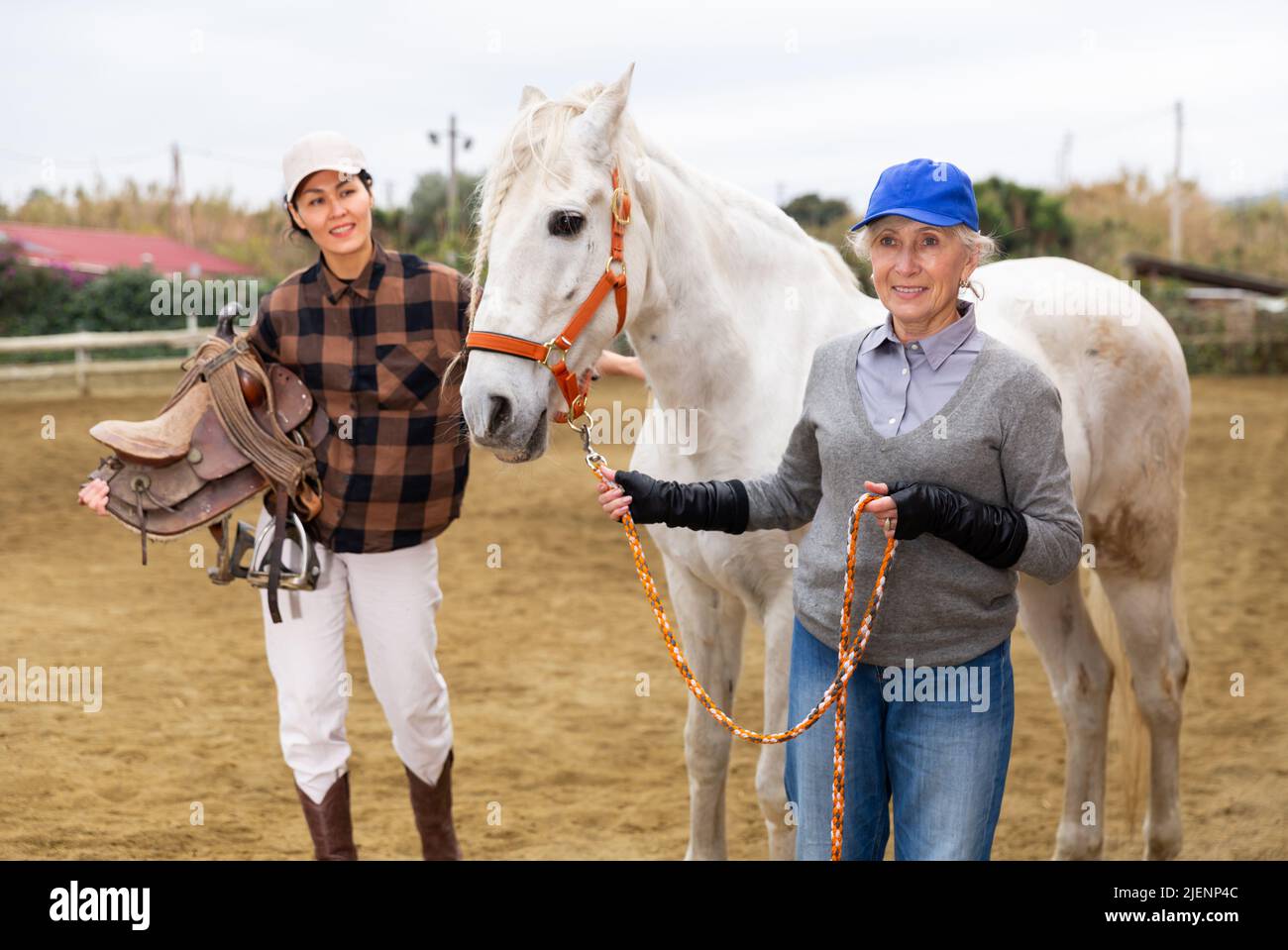 Көліктегі жыныстық позициялар: қозу