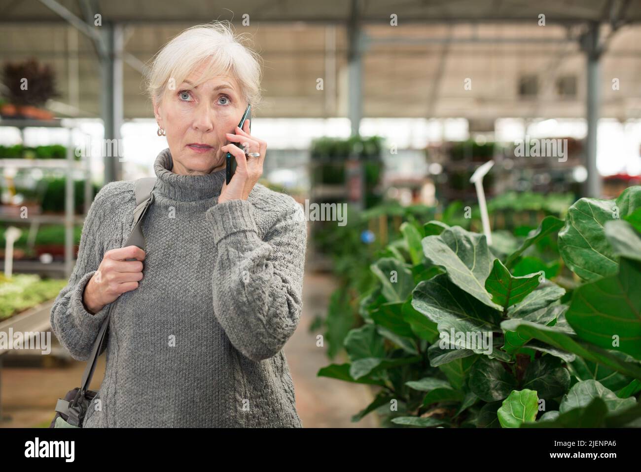 Senior woman talking on phone in floral shop Stock Photo - Alamy