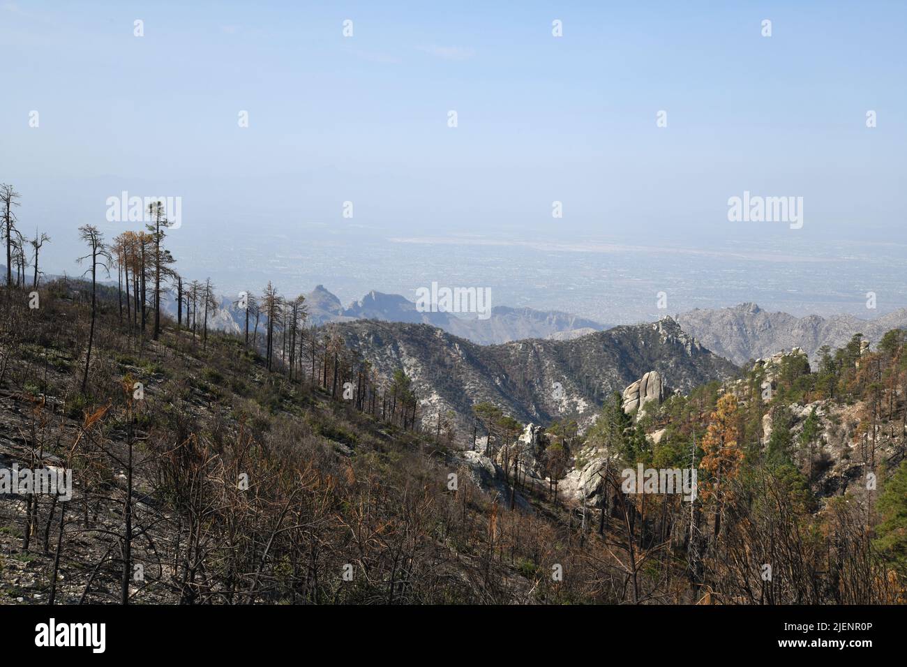 Poor quality air hovers over the Tucson Valley as seen from a burned out area on Mount Lemmon, Sonoran Desert, Santa Catalina Mountains, Coronado Nati Stock Photo