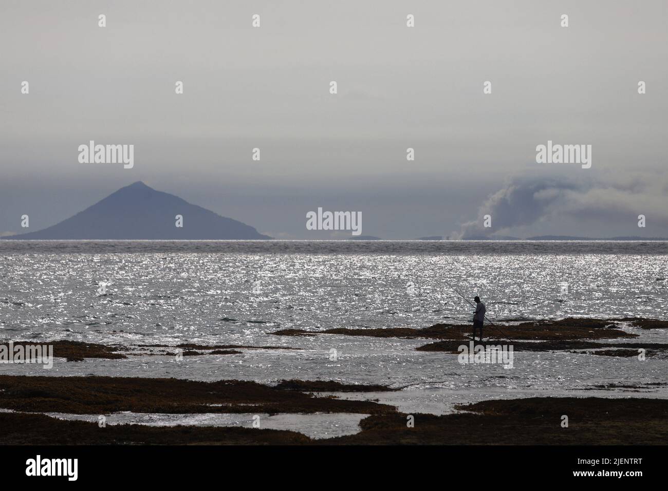 Carita fish hi res stock photography and images Alamy