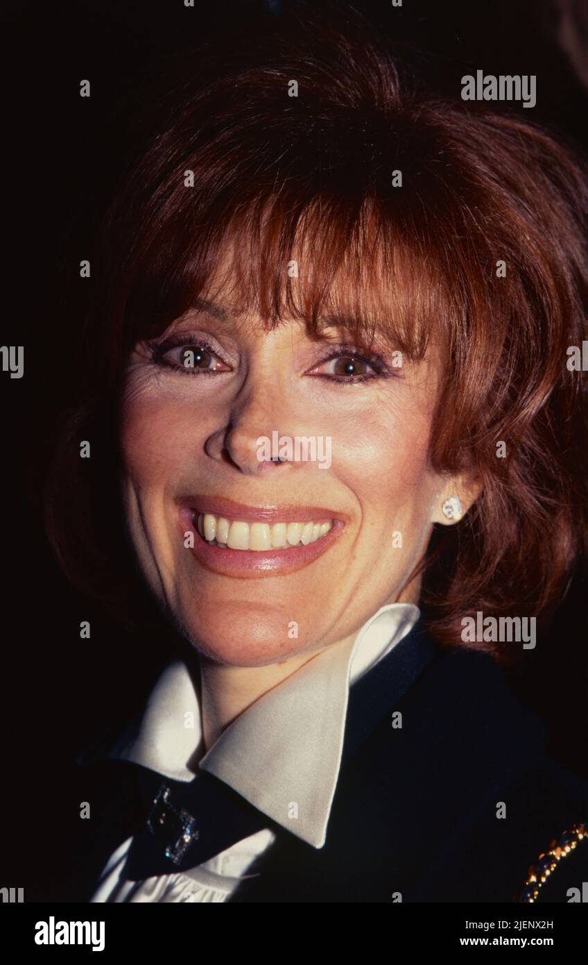 Jill St. John attends the 2nd Annual International Achievement in Art