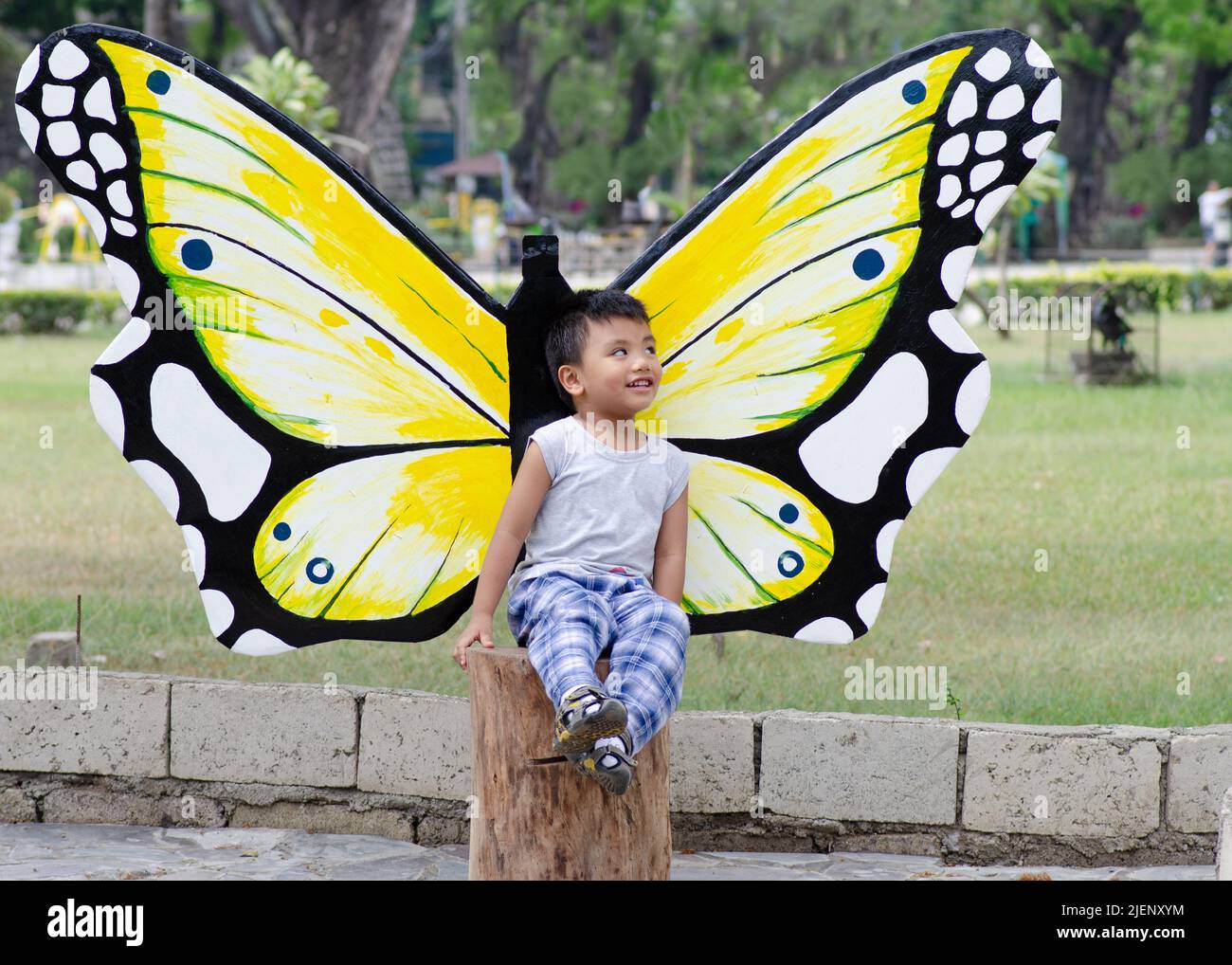 Boy joyfully looking at his butterfly wings Stock Photo
