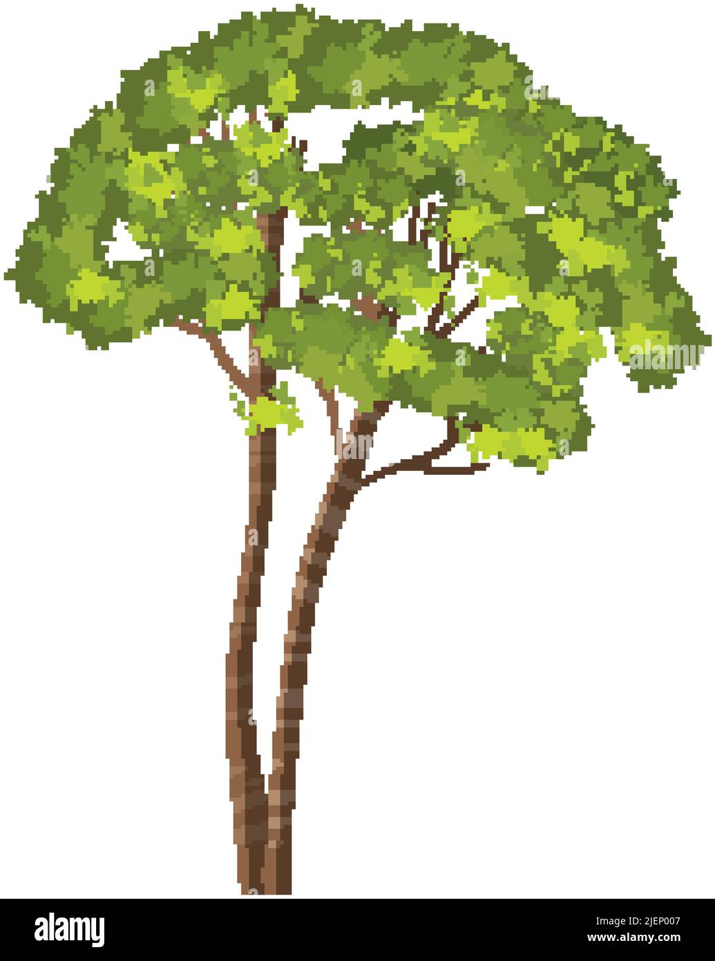 Isolated tree on white background illustration Stock Vector Image & Art ...