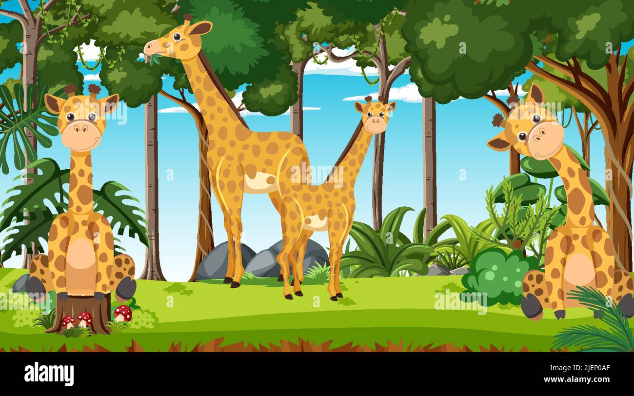 Giraffes in the forest scene illustration Stock Vector Image & Art - Alamy