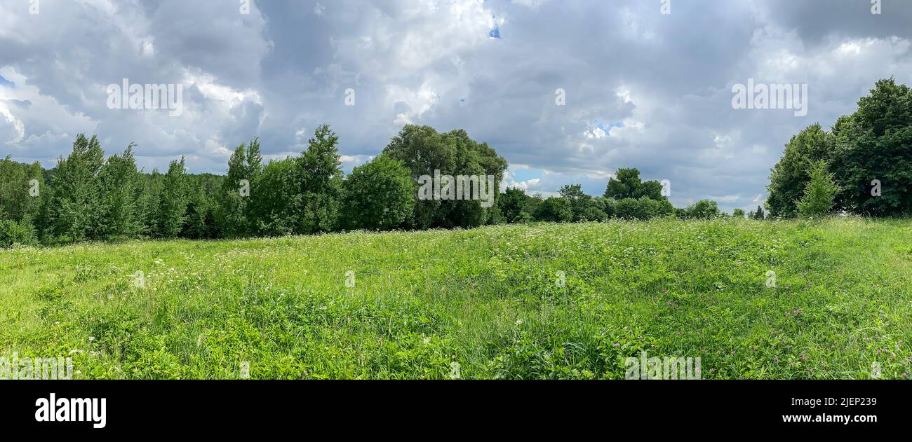 panoramic summer landscape of meadow with green trees in the cloudy day Stock Photo