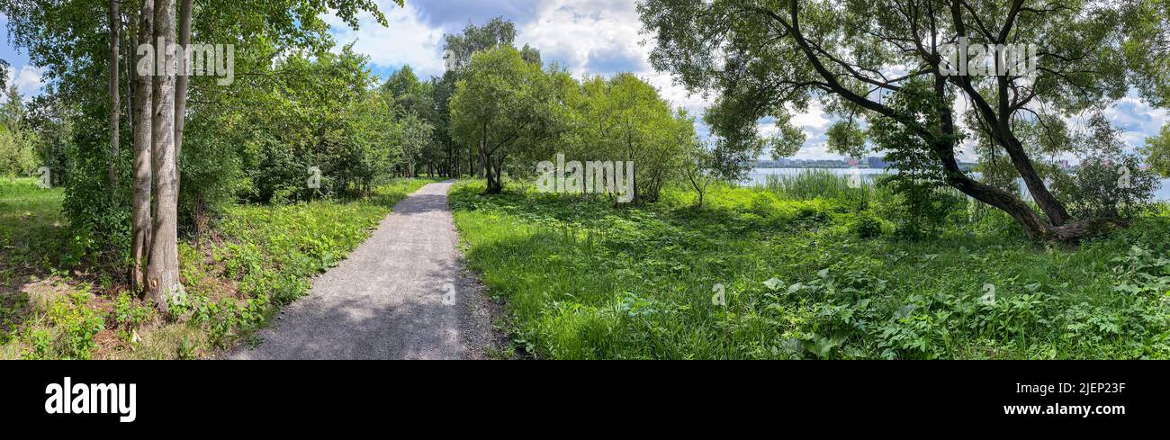 path in beautiful green park near the lake in summer morning. panorama. Stock Photo