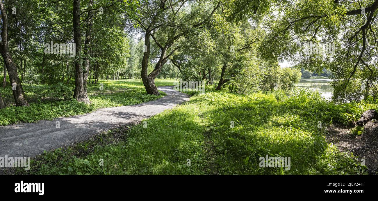 winding footpath on lakeshore with beautiful green trees in summer. panoramic view. Stock Photo