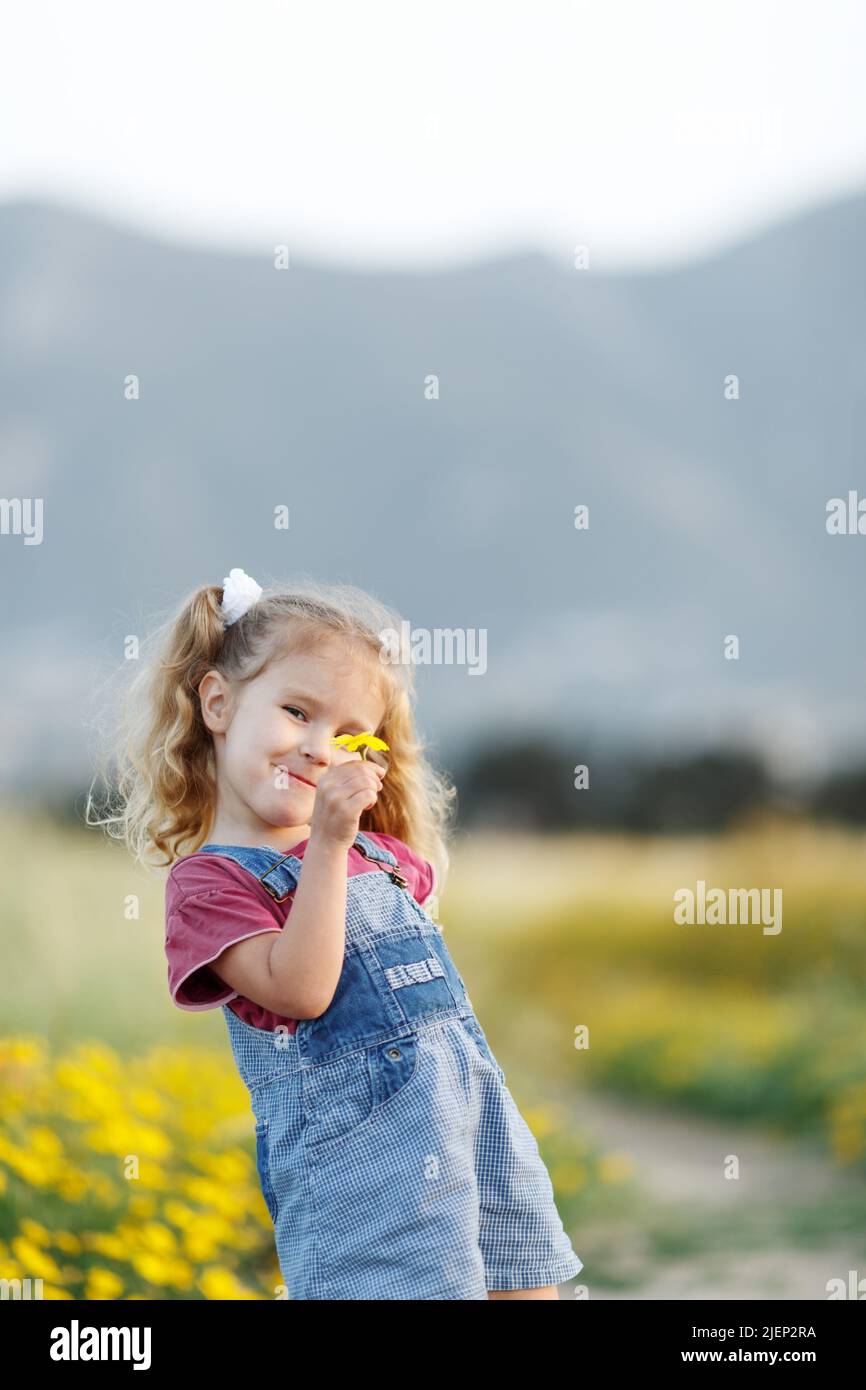 Portrait of happy little girl in a wheat field Stock Photo - Alamy