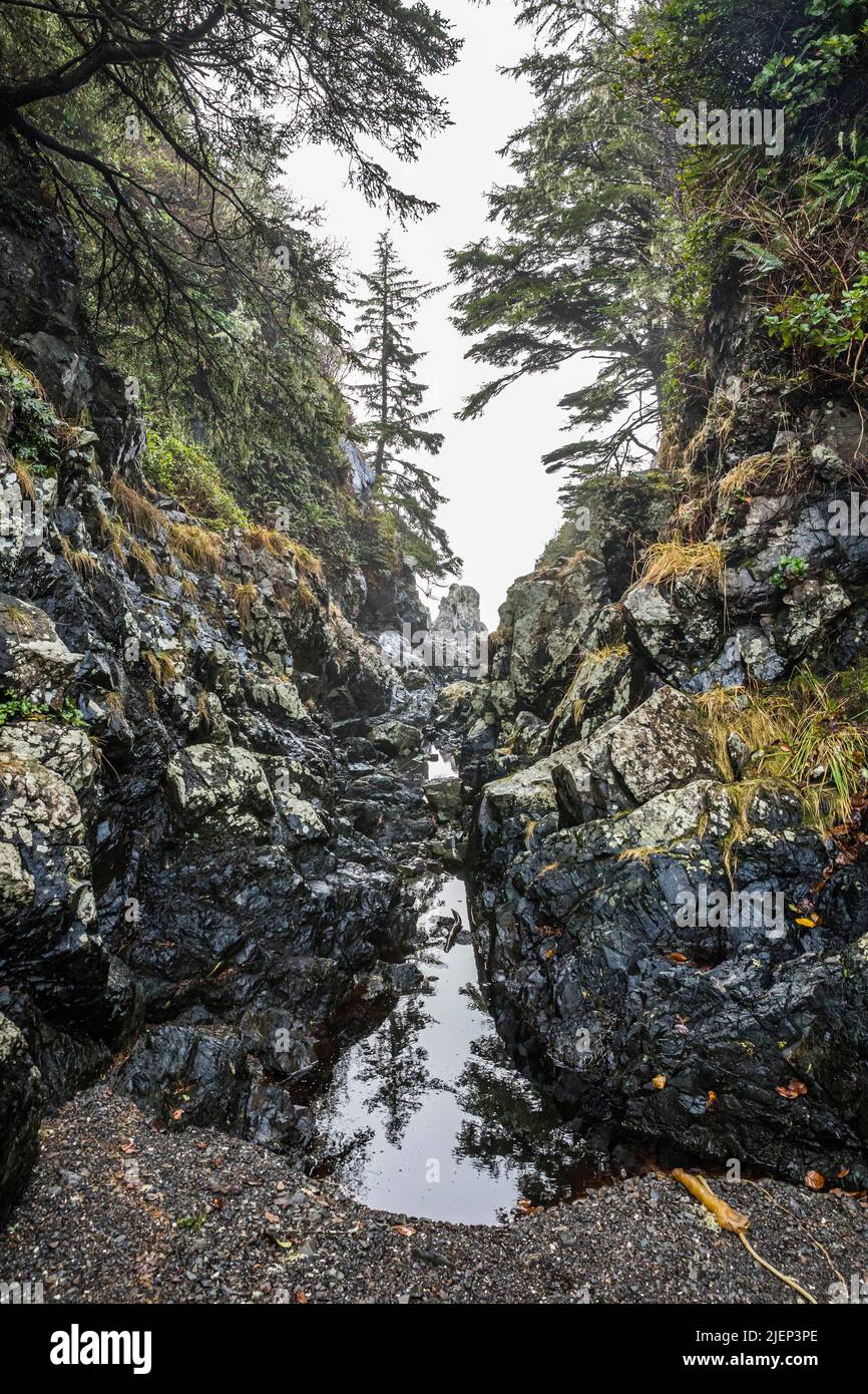 A gully at low tide near the Wild Pacific Trails near Ucluelet, BC, Canada. Stock Photo
