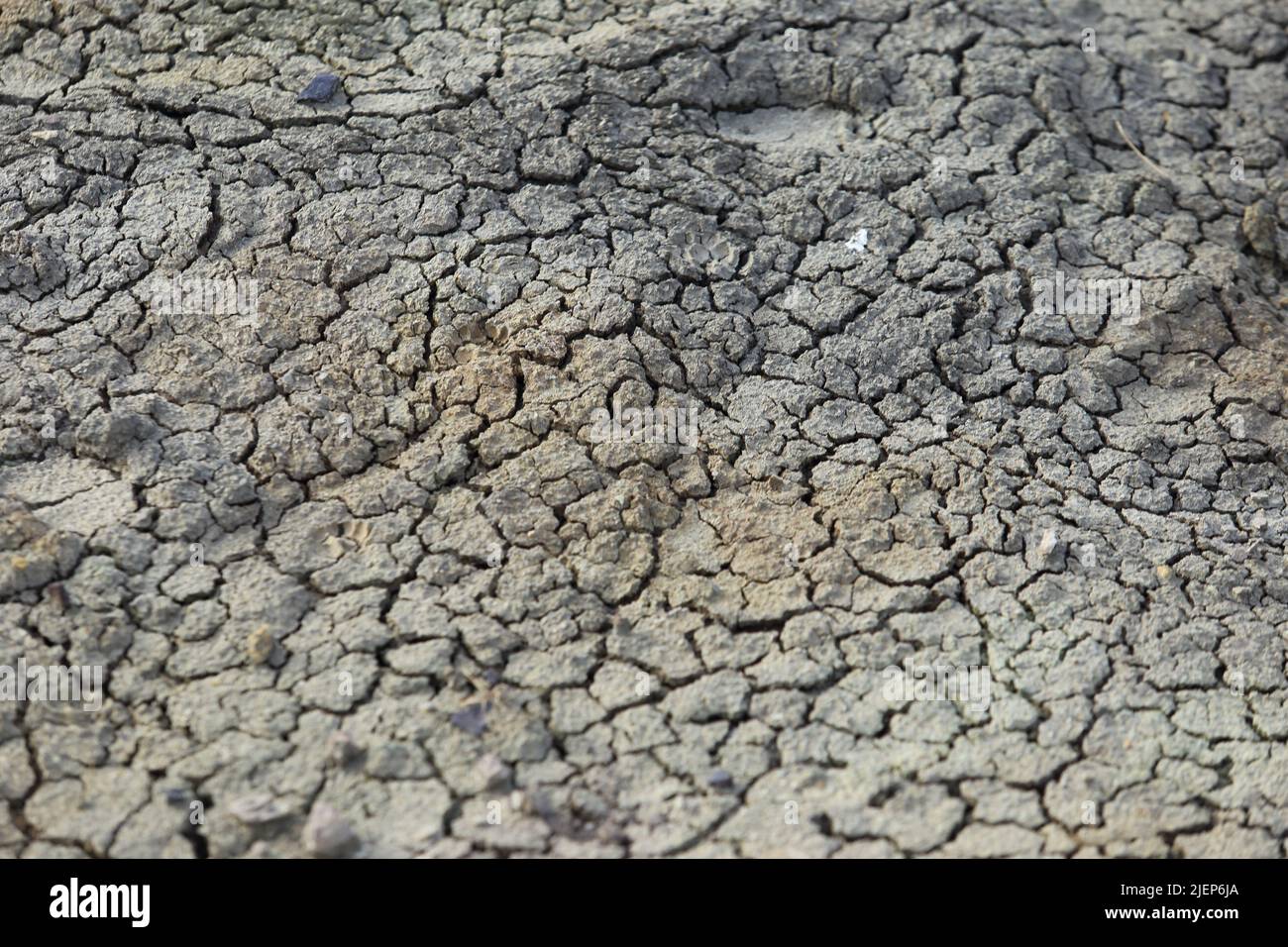 drought - dry land without water Stock Photo