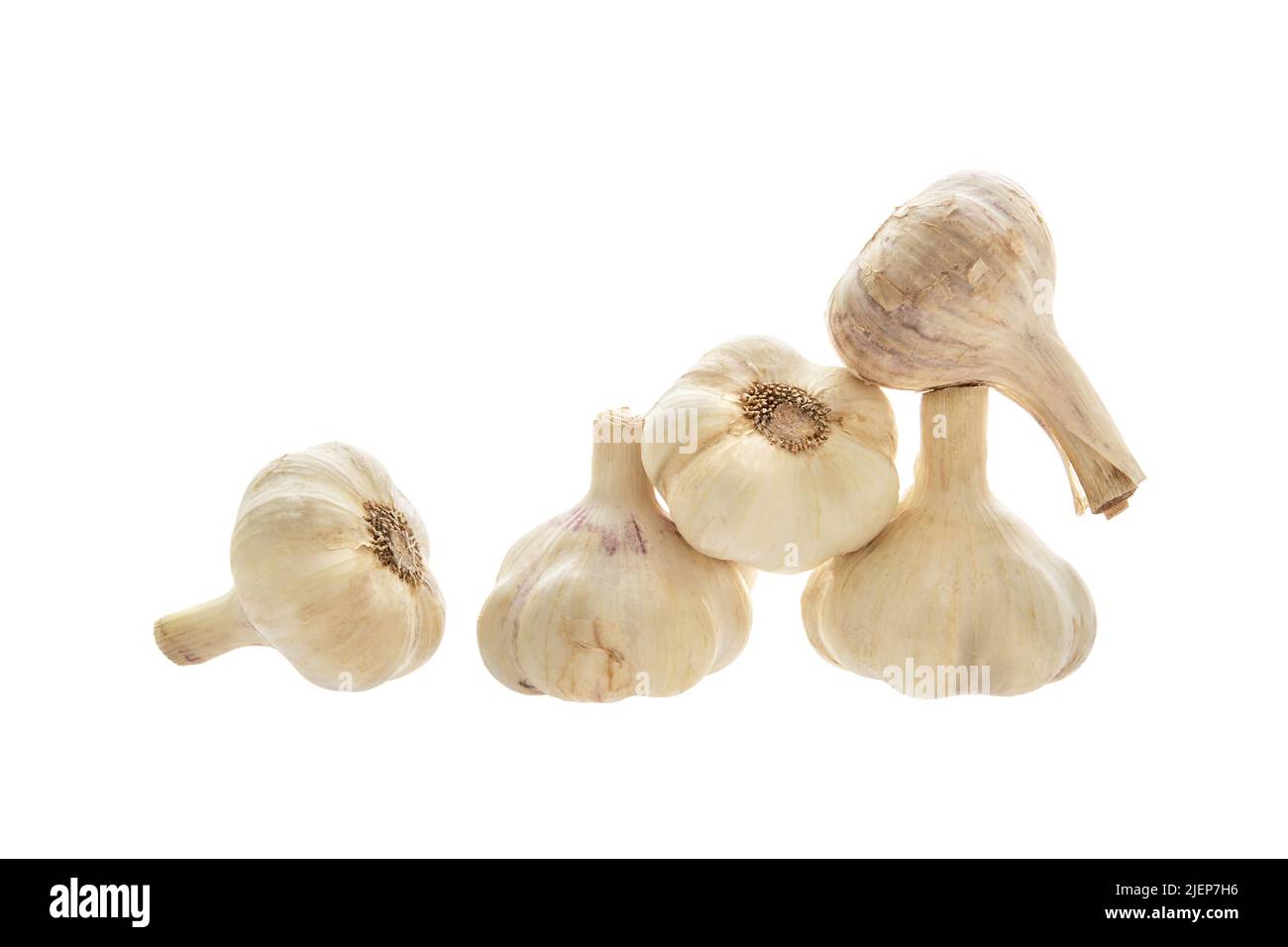 Image of a bunch of garlic on a white background Stock Photo - Alamy