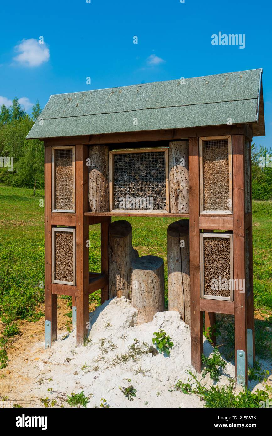 Insect hotel in a green hedge gives protection. Wooden insect house shelter for wild insects in forest reserve Stock Photo