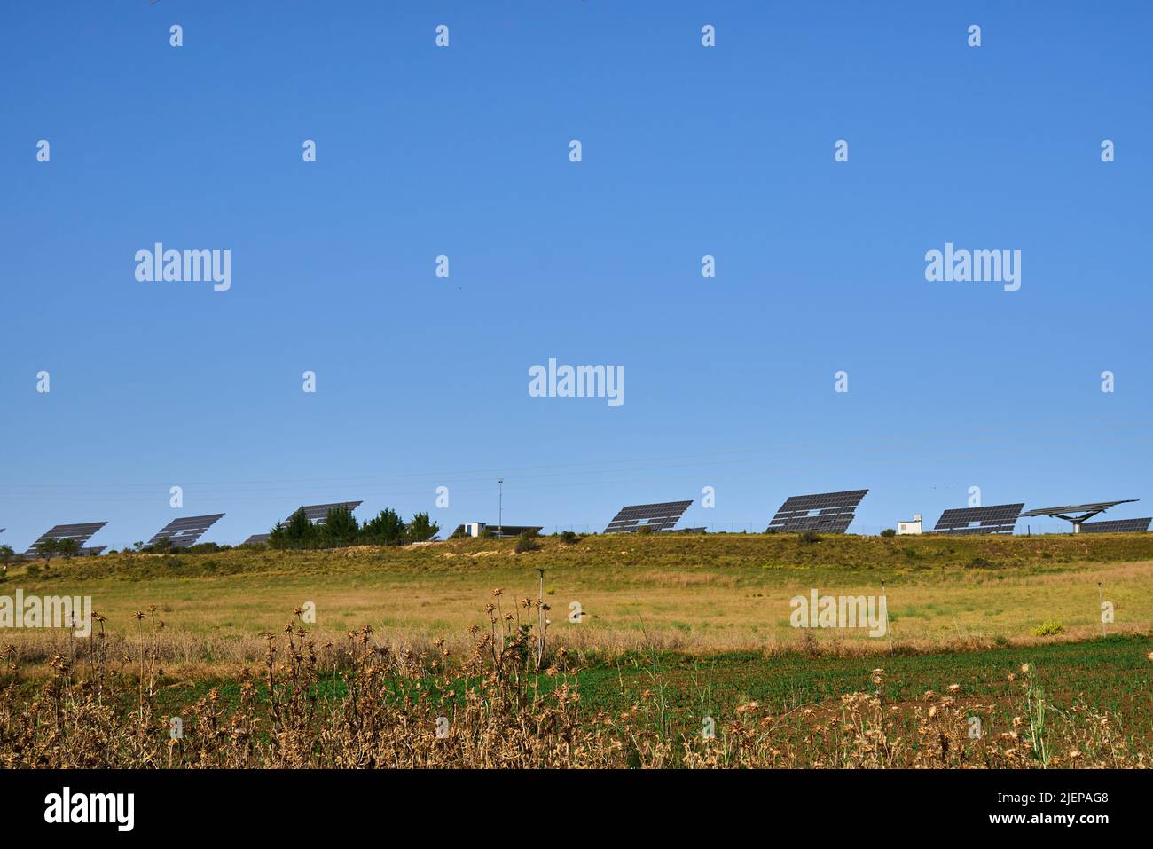 Field or orchard of solar panels to collect solar energy. High quality photo Stock Photo