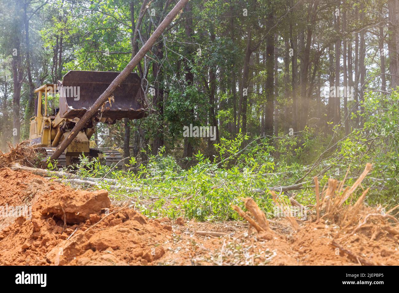 Using tractors skid steers to clear land from trees for a housing