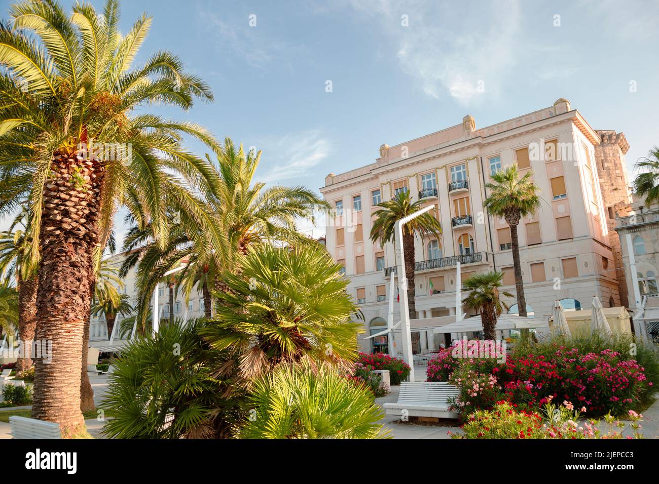 Riva promenade street with palm trees in Split, Croatia Stock Photo