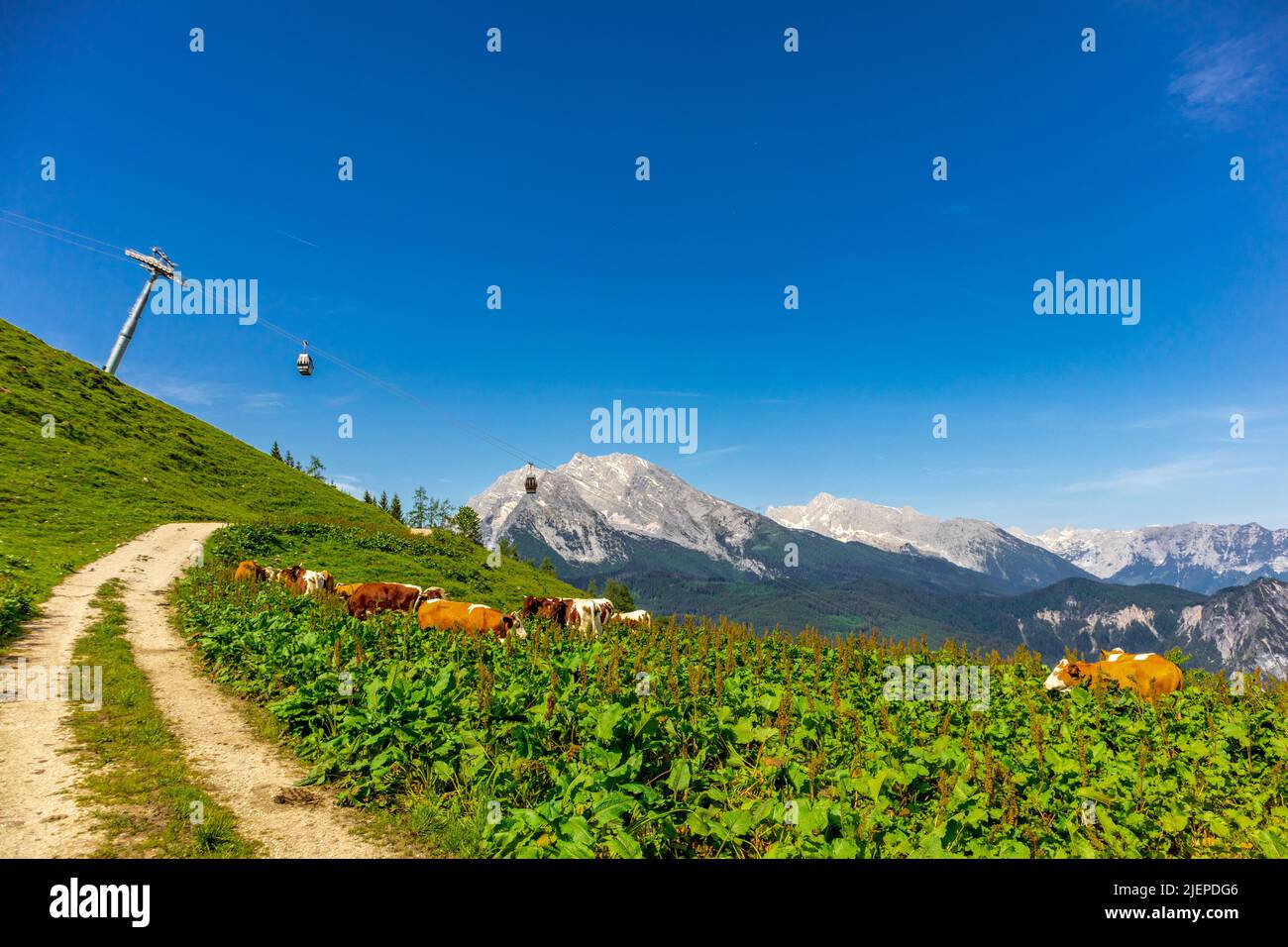 Beautiful exploration tour along the Berchtesgaden Alpine foothills ...