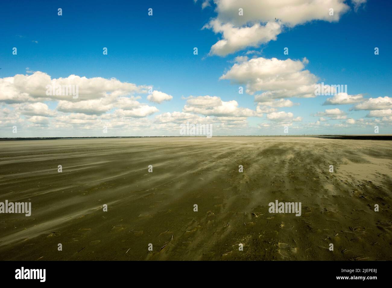 Op het waddeneiland Schiermonnikoog liggen, buiten de duinen, aangespoelde zandplaten waar wind en water vrij spel hebben. Bij winderig weer ontstaan zandverstuivingen. Stock Photo