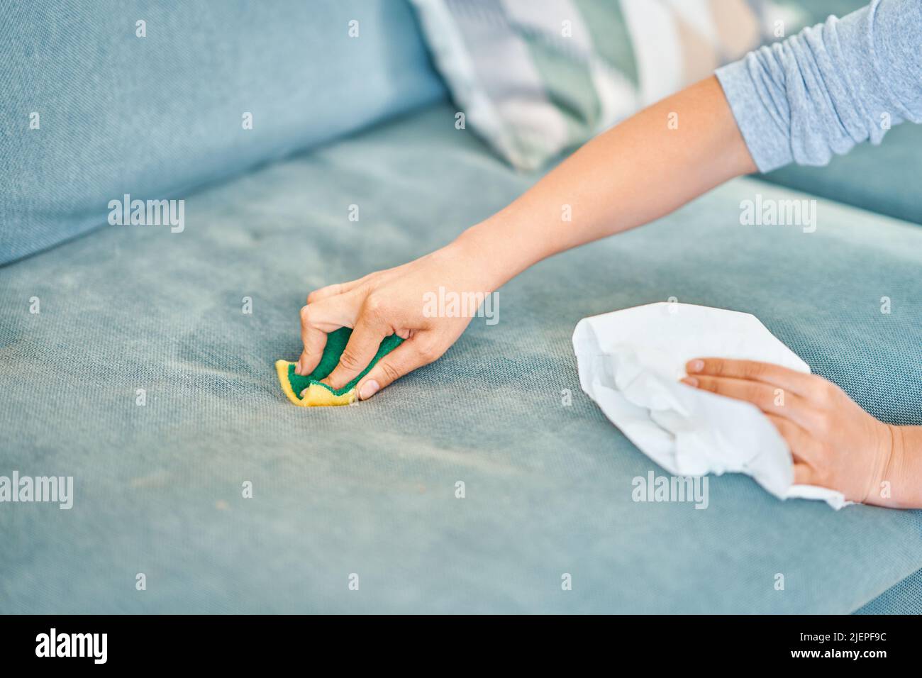 Picture of woman cleaning couch with sponge Stock Photo Alamy