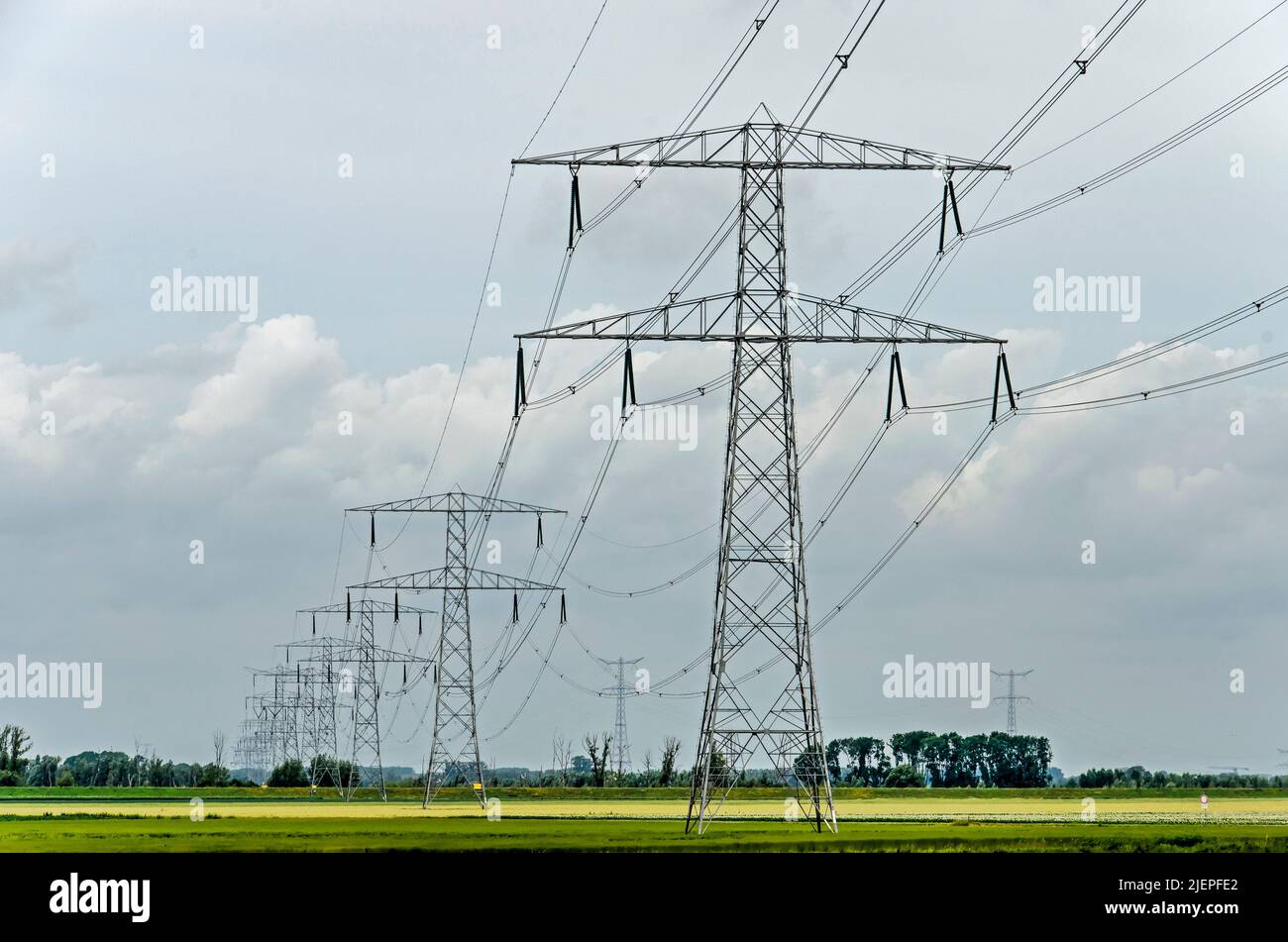 Row of electricity pylons in a flat polder landscape in the Noordwaard region in Biesbosch national park Stock Photo