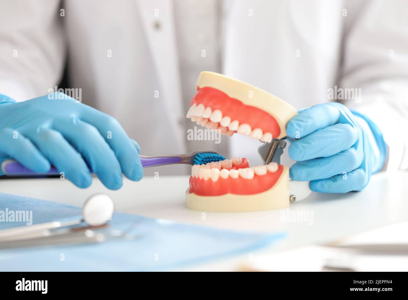 Dentist hands with human jaw and toothbrush Stock Photo - Alamy