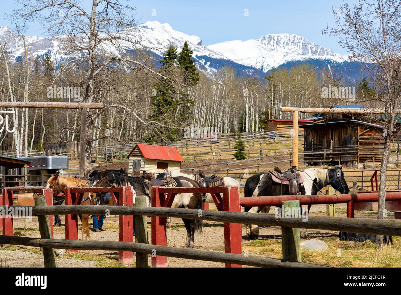 Horseback Riding, Jasper Riding Stables on Pyramid Lake Road. Alberta,  Canada Stock Photo - Alamy