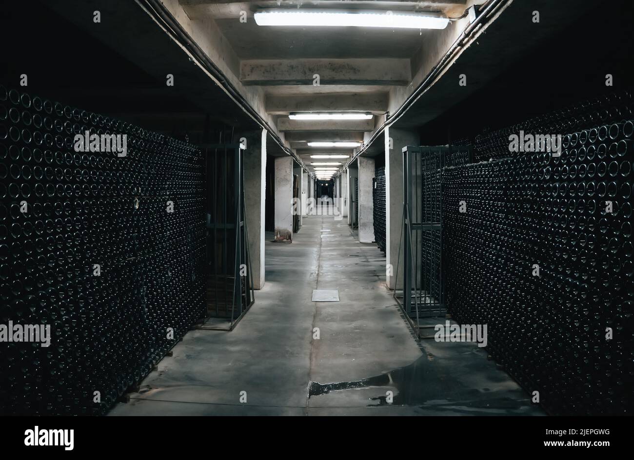 Typical underground cellar for storing and aging wine in glass bottles