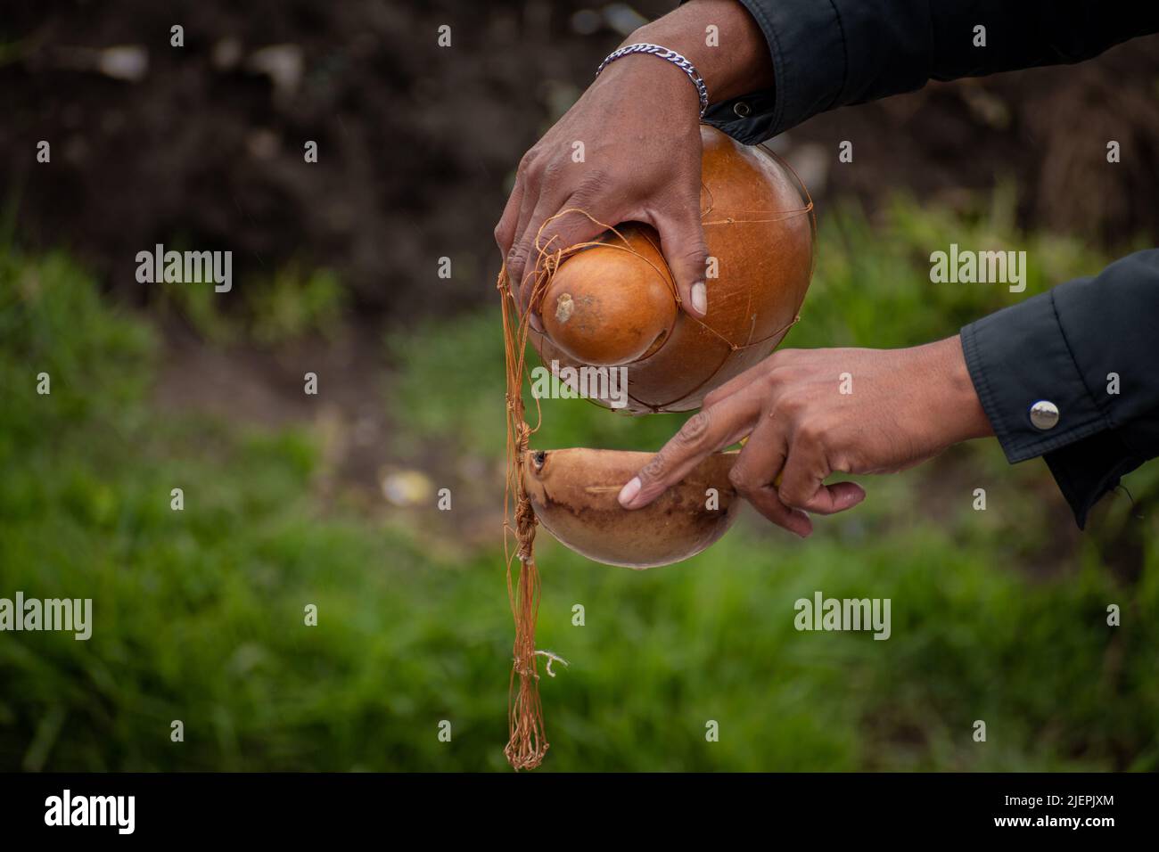 indigenous person serving traditional drink 'chicha', Ipiales, Nariño. Stock Photo