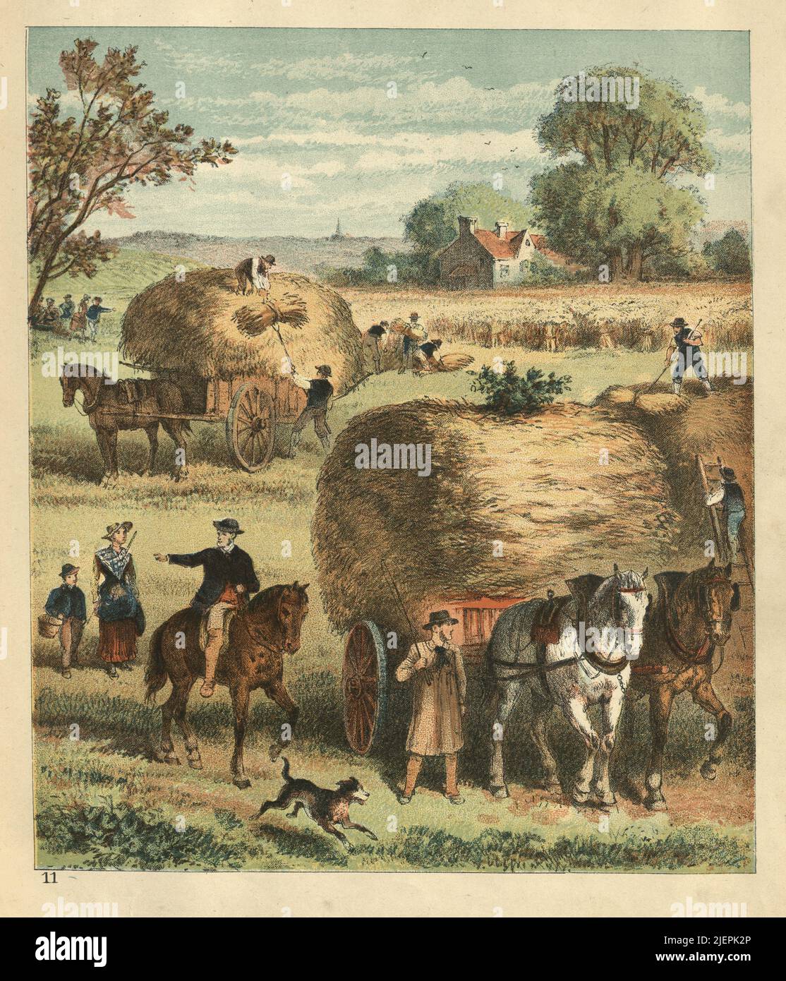 Victorian farming agriculture scene, Harvest, loading hay, wheat, on to wagons in a farm field, 1880s, Victorian 19th Century Stock Photo
