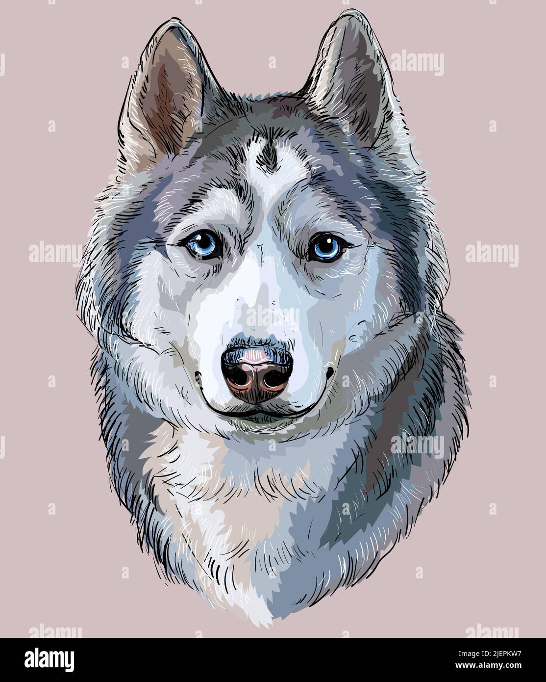 Siberian Husky hand drawing dog realistic vector isolated illustration