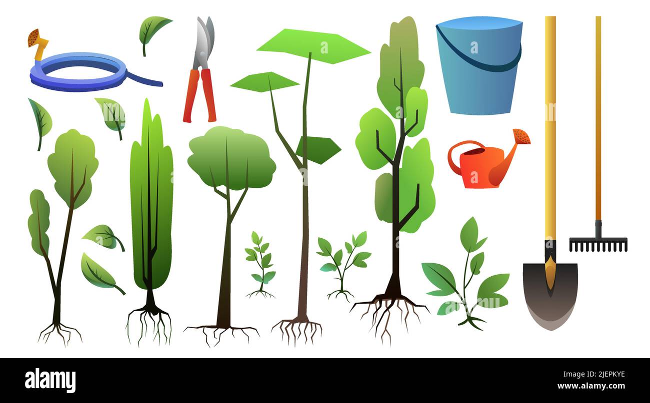 Set of seedlings of young trees with roots and garden tools. Set of Garden plants. Fruit plantings. Isolated on white background. Vector. Stock Vector