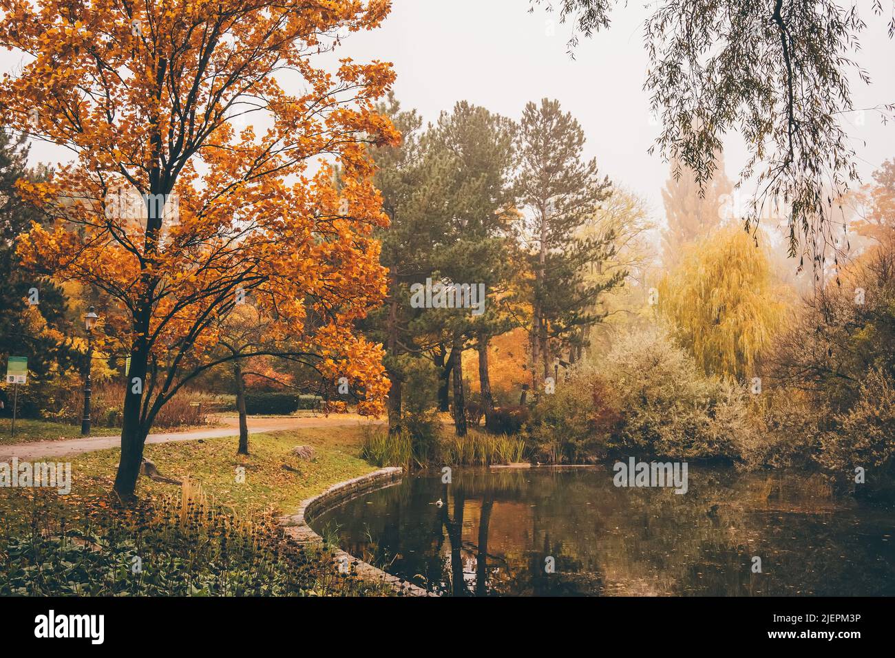 Golden landscape in a park. Peaceful and atmospheric view. Nature background Stock Photo