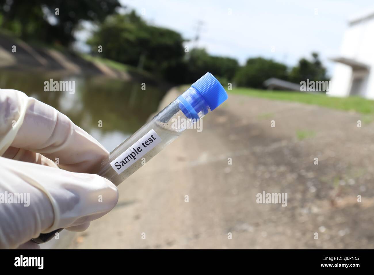 Collect samples of wastewater from industrial canals in test tubes to