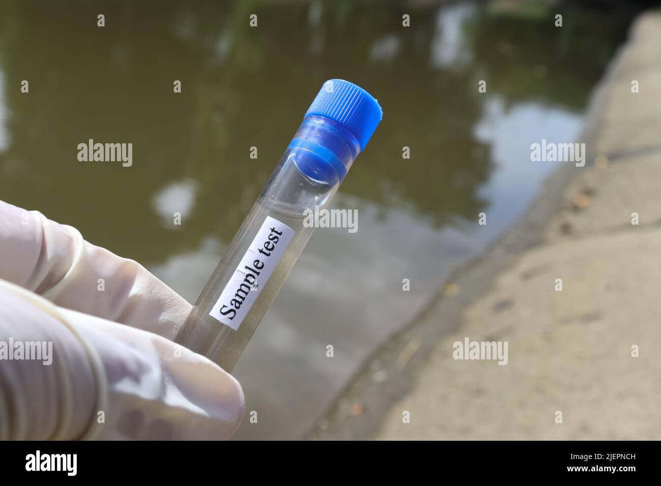 Collect samples of wastewater from industrial canals in test tubes to