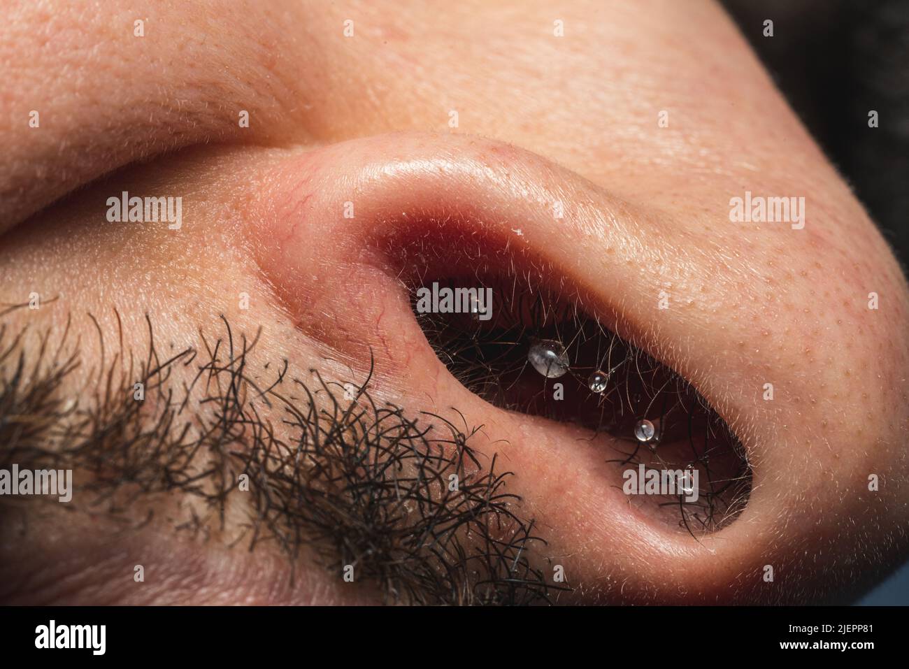 A detail shot of frozen water droplets in a nose at winter. Stock Photo