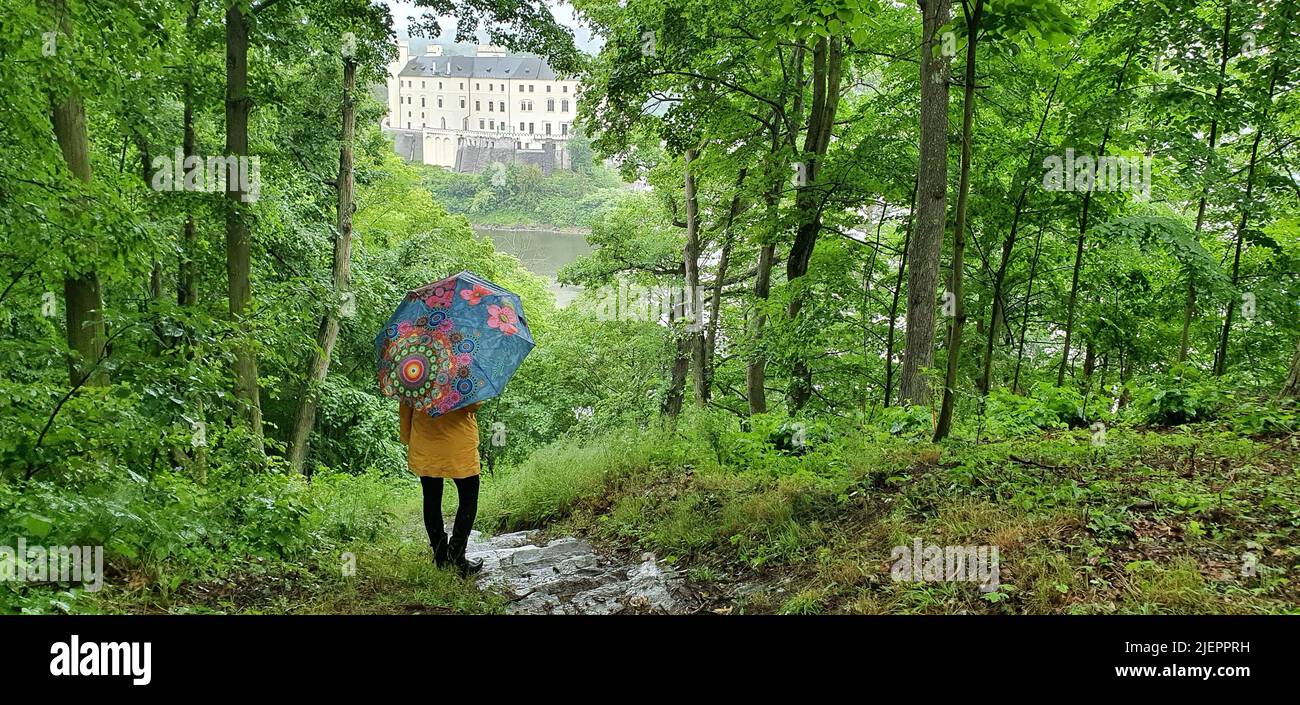 Female person standing on a path in the forest during a rain shower wearing an umbrella Stock Photo