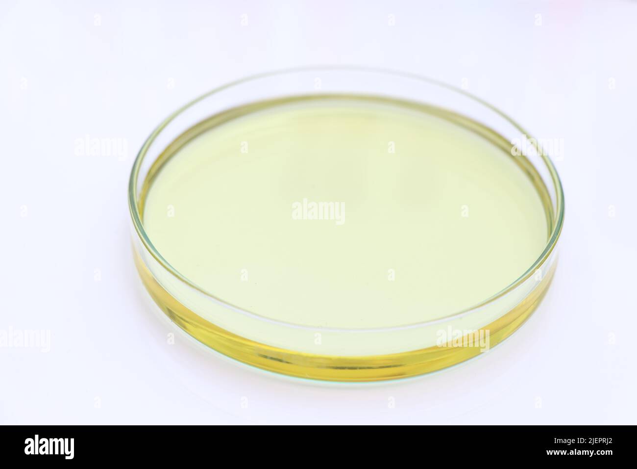 Biodiesel experiments from natural raw materials in the laboratory and environmentally friendly