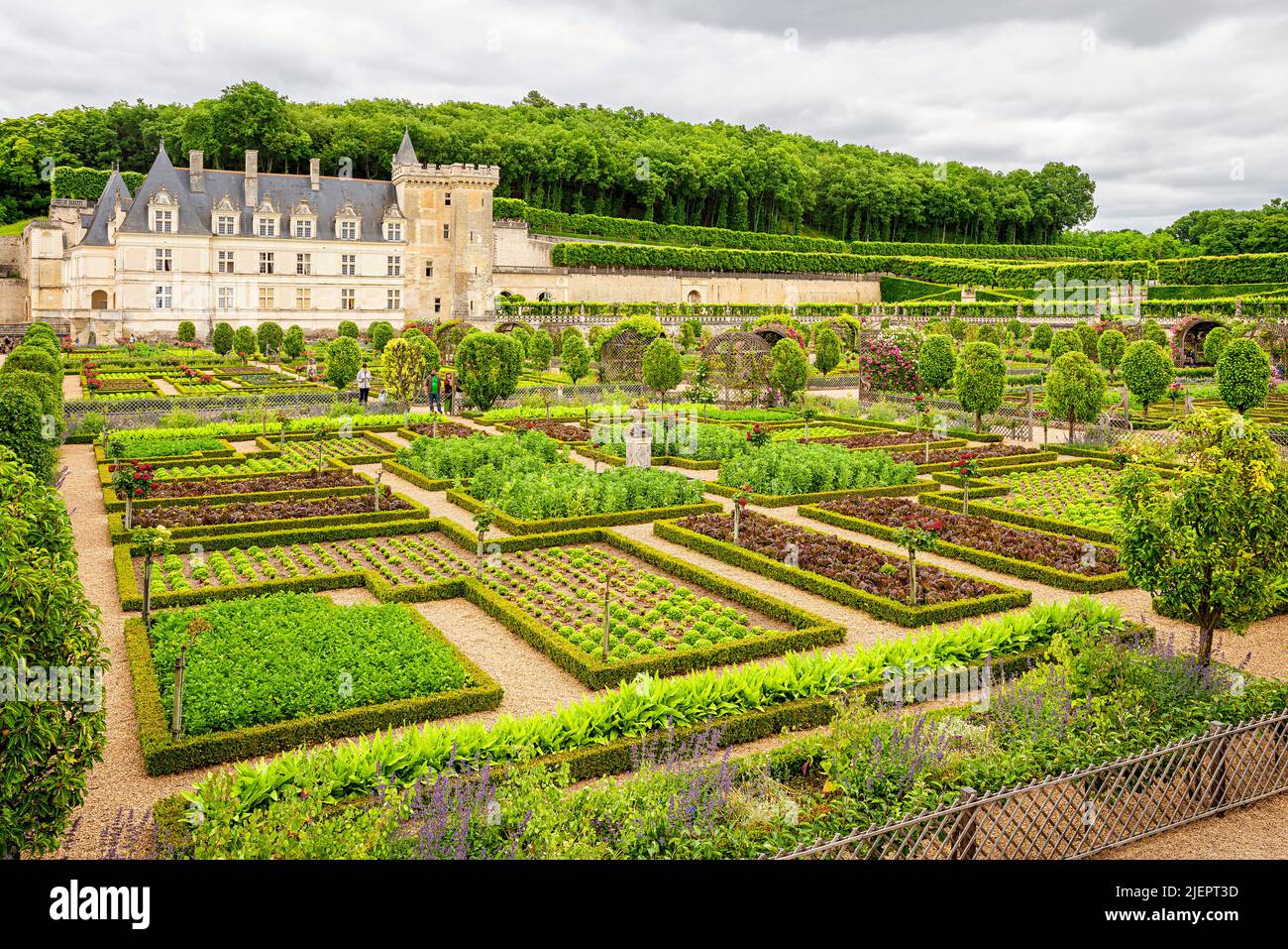The Château de Villandry is a wonderful country residence located in Villandry, in the Indre-et-Loire department of France. The famous Renaissance gar Stock Photo