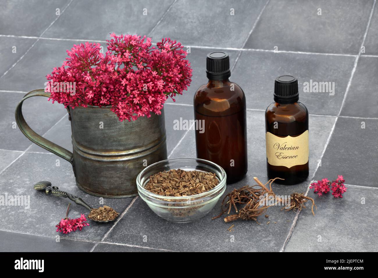 Valerian herb hires stock photography and images Alamy