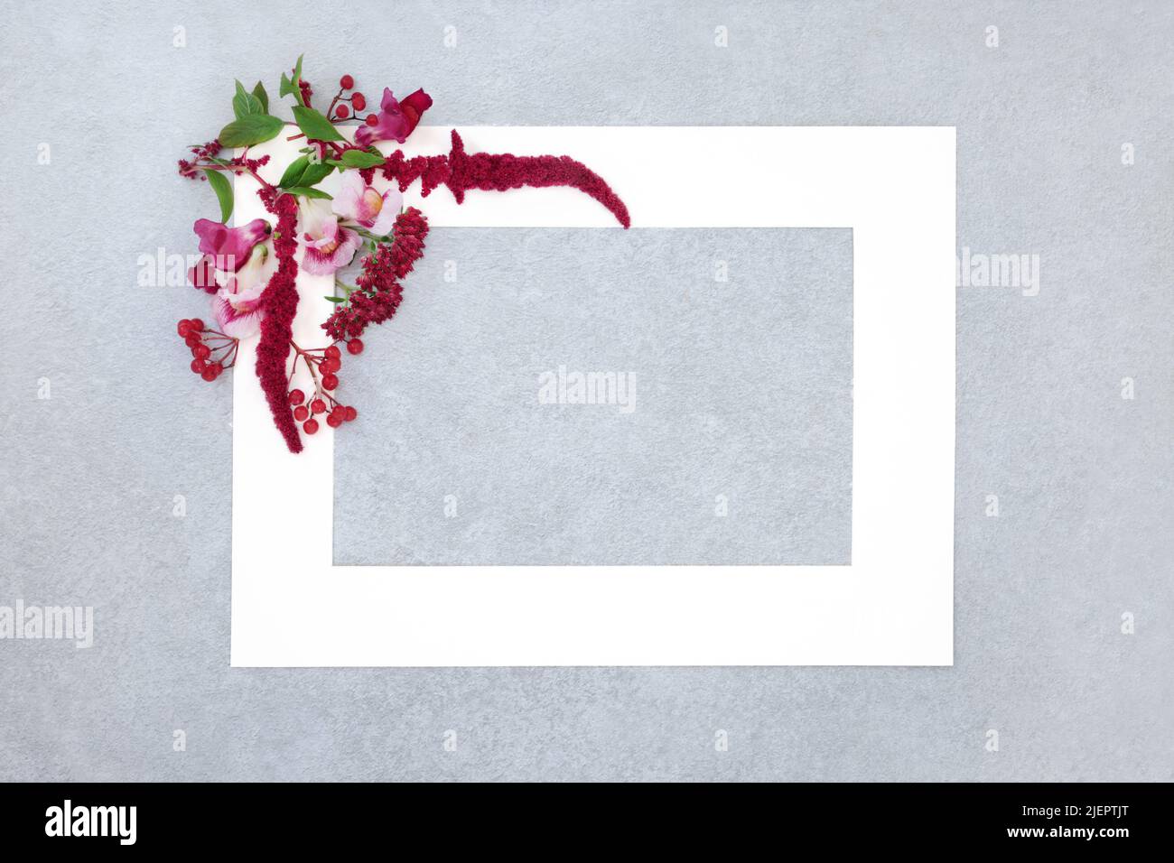 Autumn and Thanksgiving floral background frame with amaranthus flowers, antirrhinum, redcurrant berries. Minimal border floral composition. Stock Photo