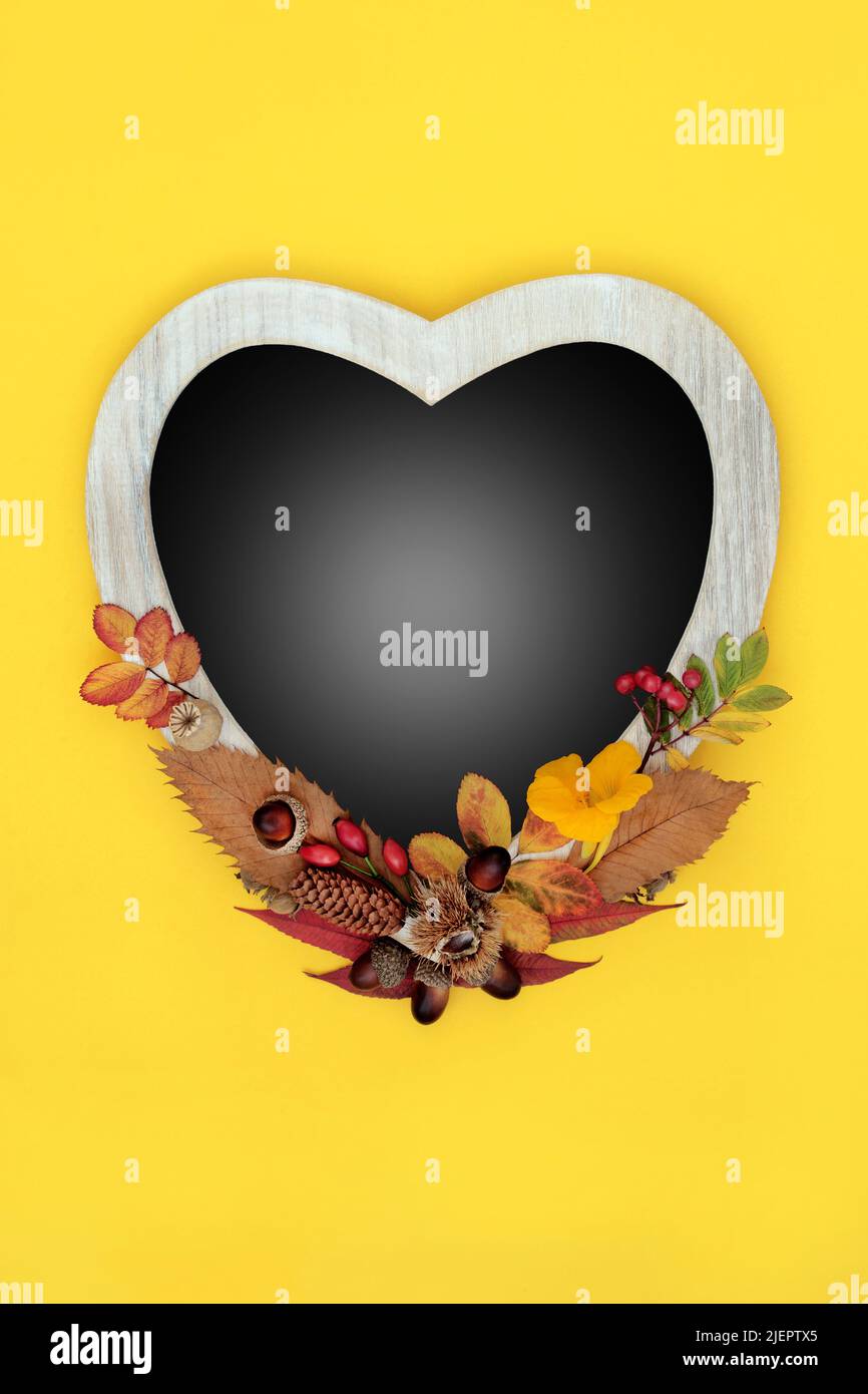 Floral Autumn, Thanksgiving and Halloween heart shaped frame. Abstract nature concept with leaves, flowers, nuts. Fall composition with gradient grey Stock Photo